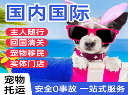 荷花航空托运国际宠物托运 【国